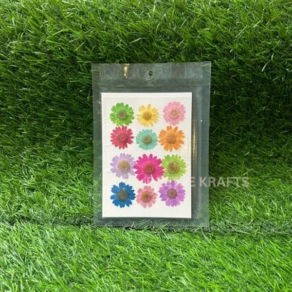 Dry Flowers for Resin Art